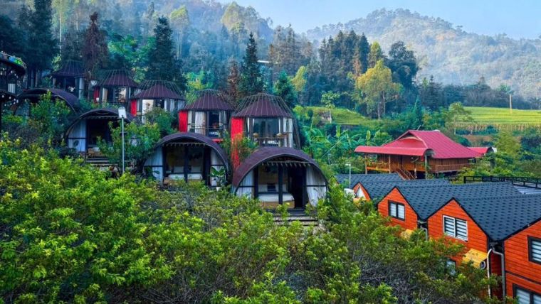 Plum-Homestay-Dong Van